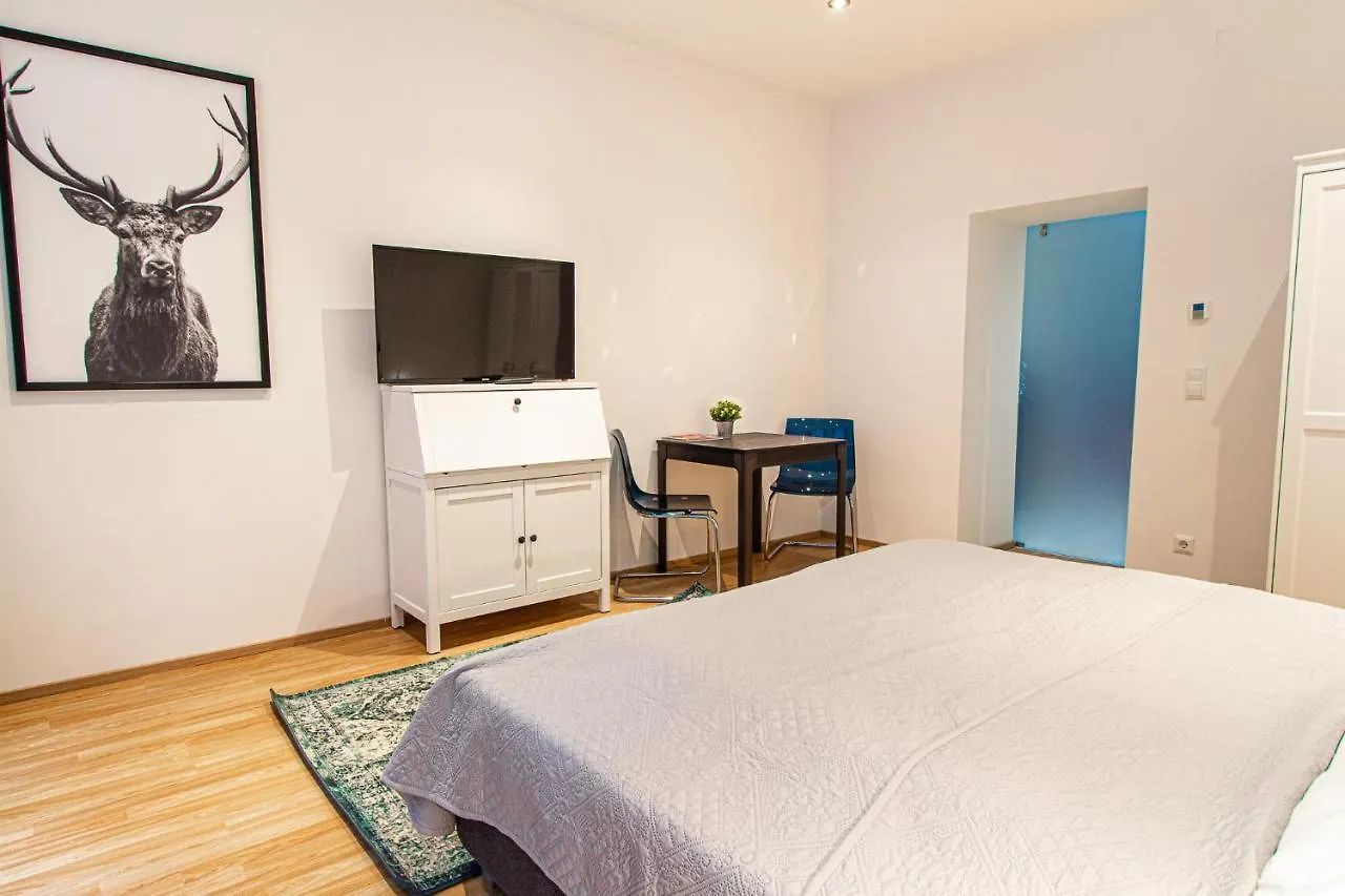 Apartment Ruedigergasse Vienna